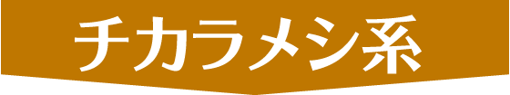 ワッフルサンド　チカラメシ